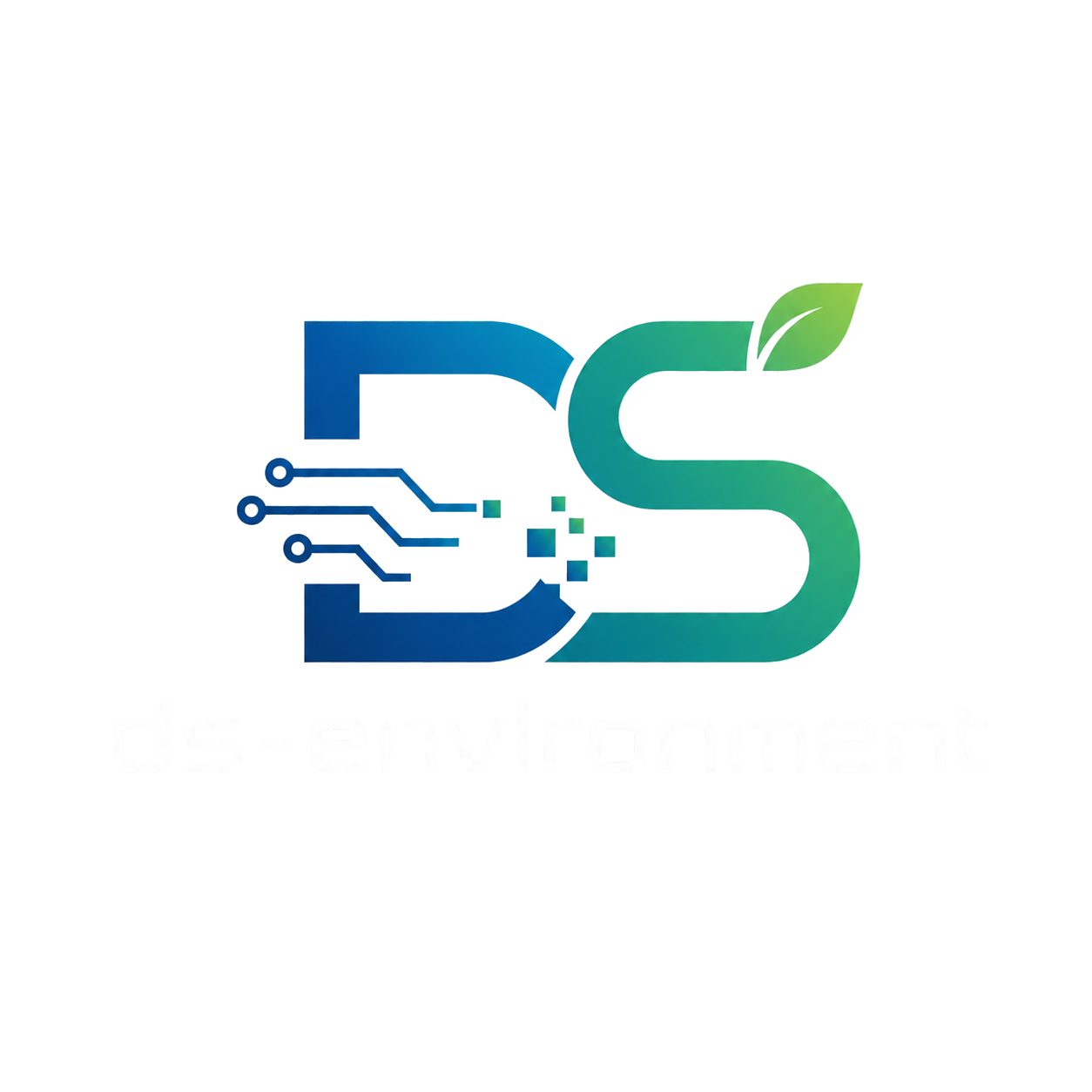 ds-environment